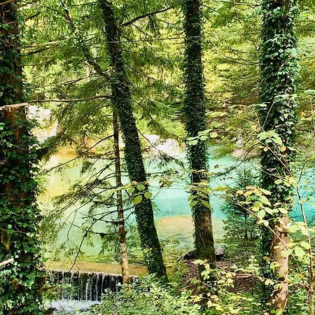 Vacation Station Kamnik