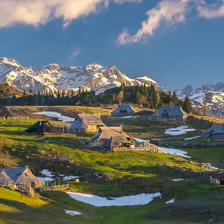 Vacation Station * カムニーク