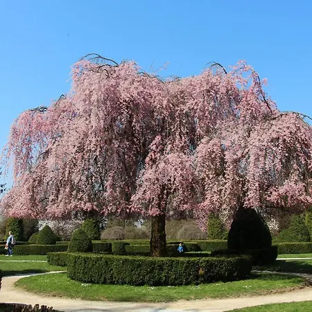 Apartman Vacation Station