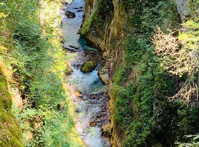 Vacation Station Apartment