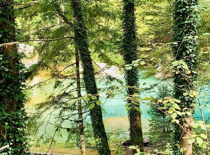 Vacation Station Kamnik