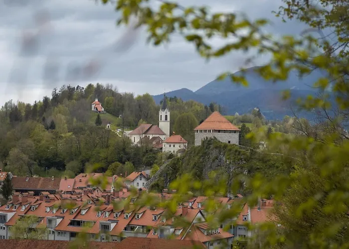 Apartment Vacation Station Kamnik