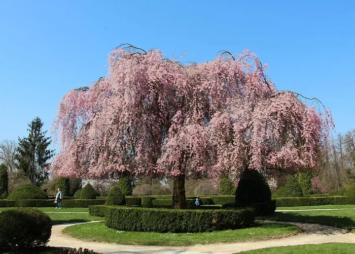 Apartment Vacation Station